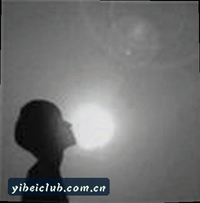 孙悦